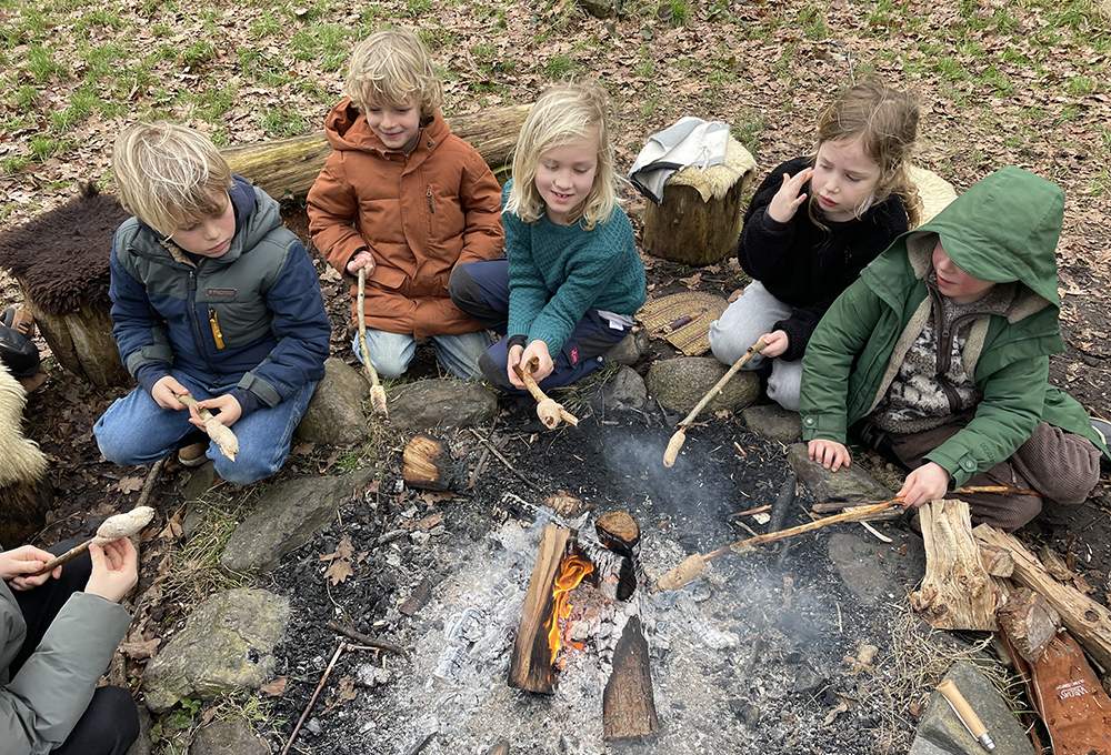 de stam - groep kikkers