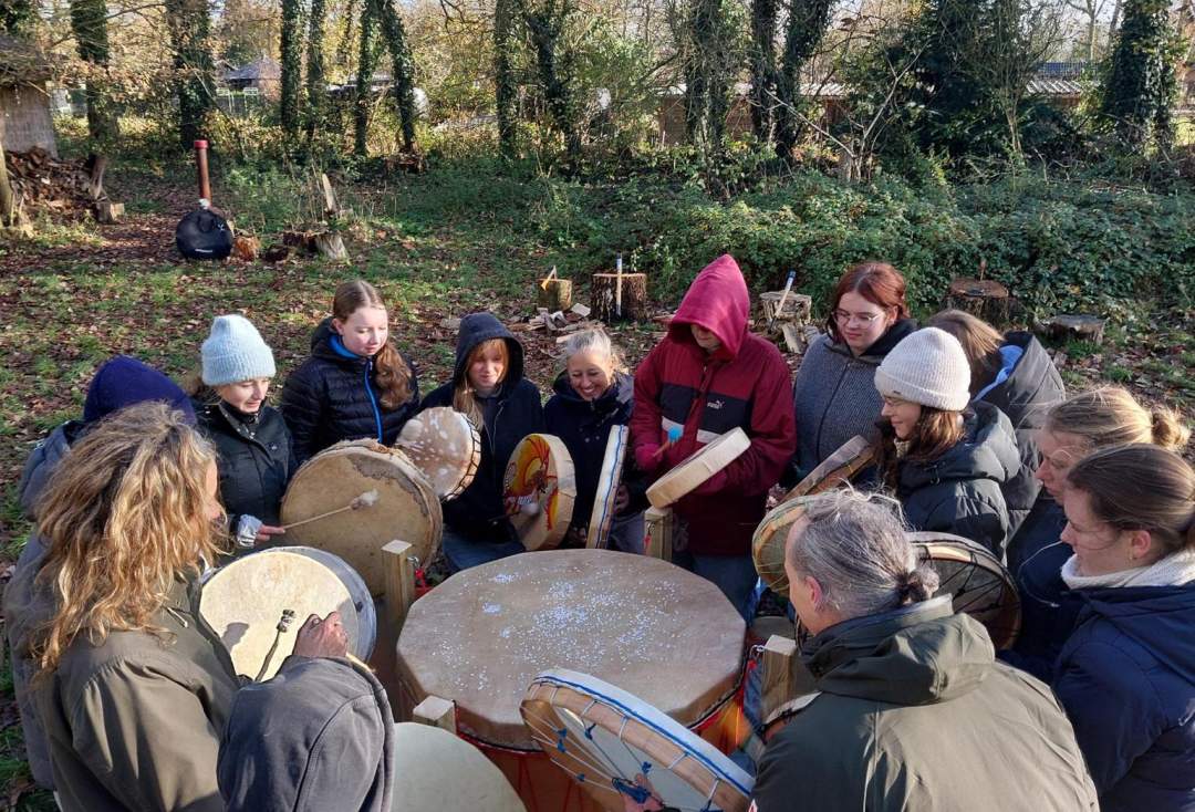 De Stam - groep libelles