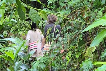 Sharing medicine in ceremony, universal language